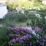 Πανσιόν Neda 3*