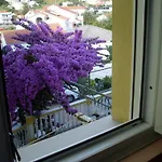 Neda Πανσιόν Ραμπ