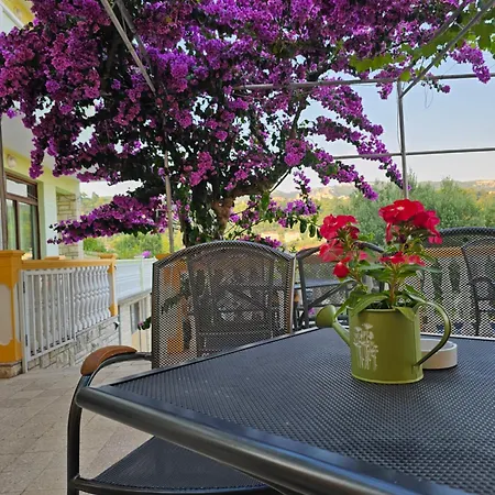 Neda Guest house