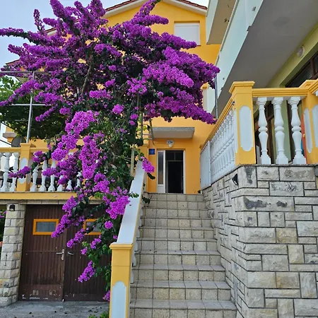 Neda Πανσιόν 3*