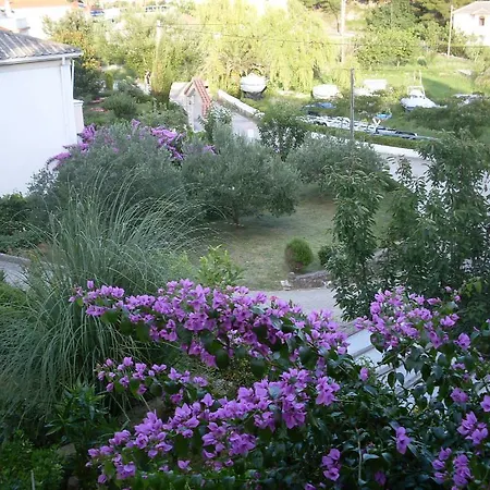 Guest house Neda 3*